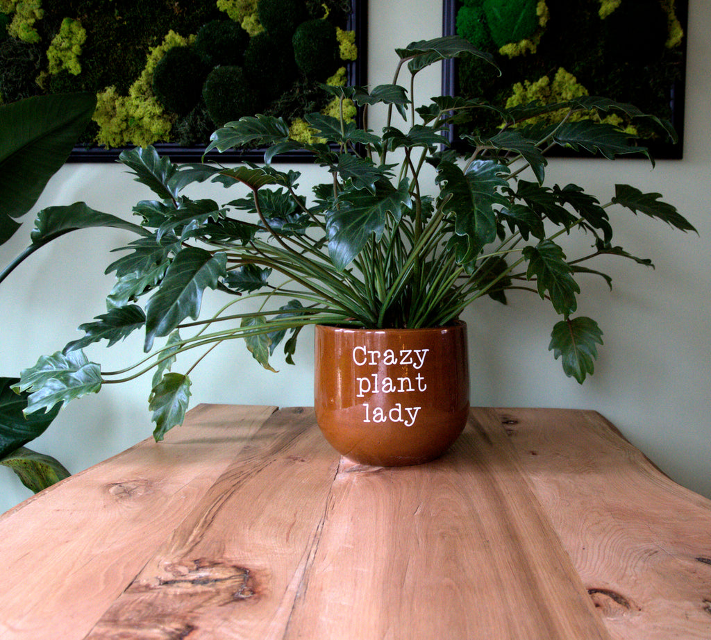 Pot sticker 'Crazy Plant Lady'