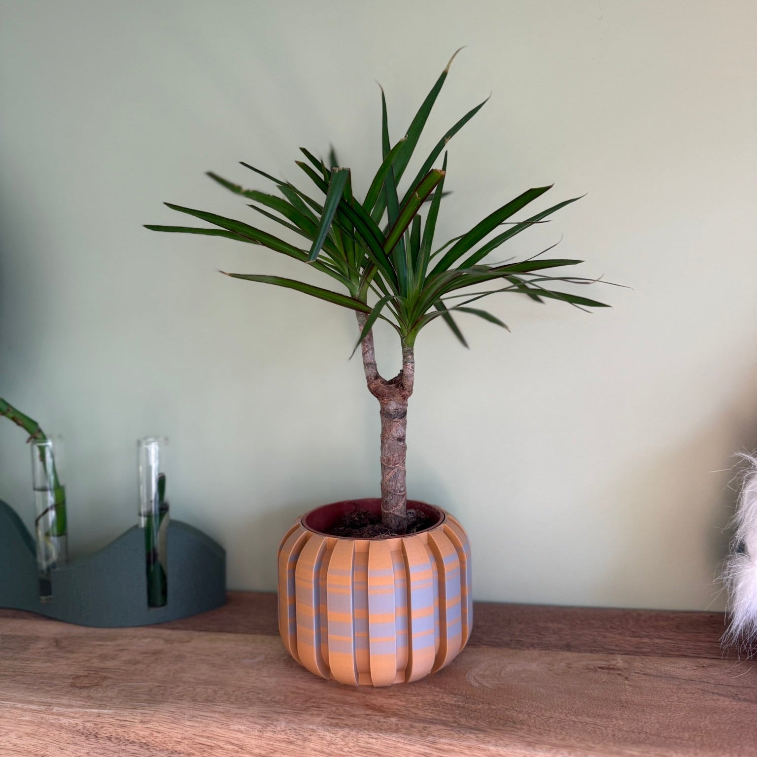 Plantenpot 'Ribelle'