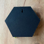 Hexamos - Modulaire Mos Wandtegels