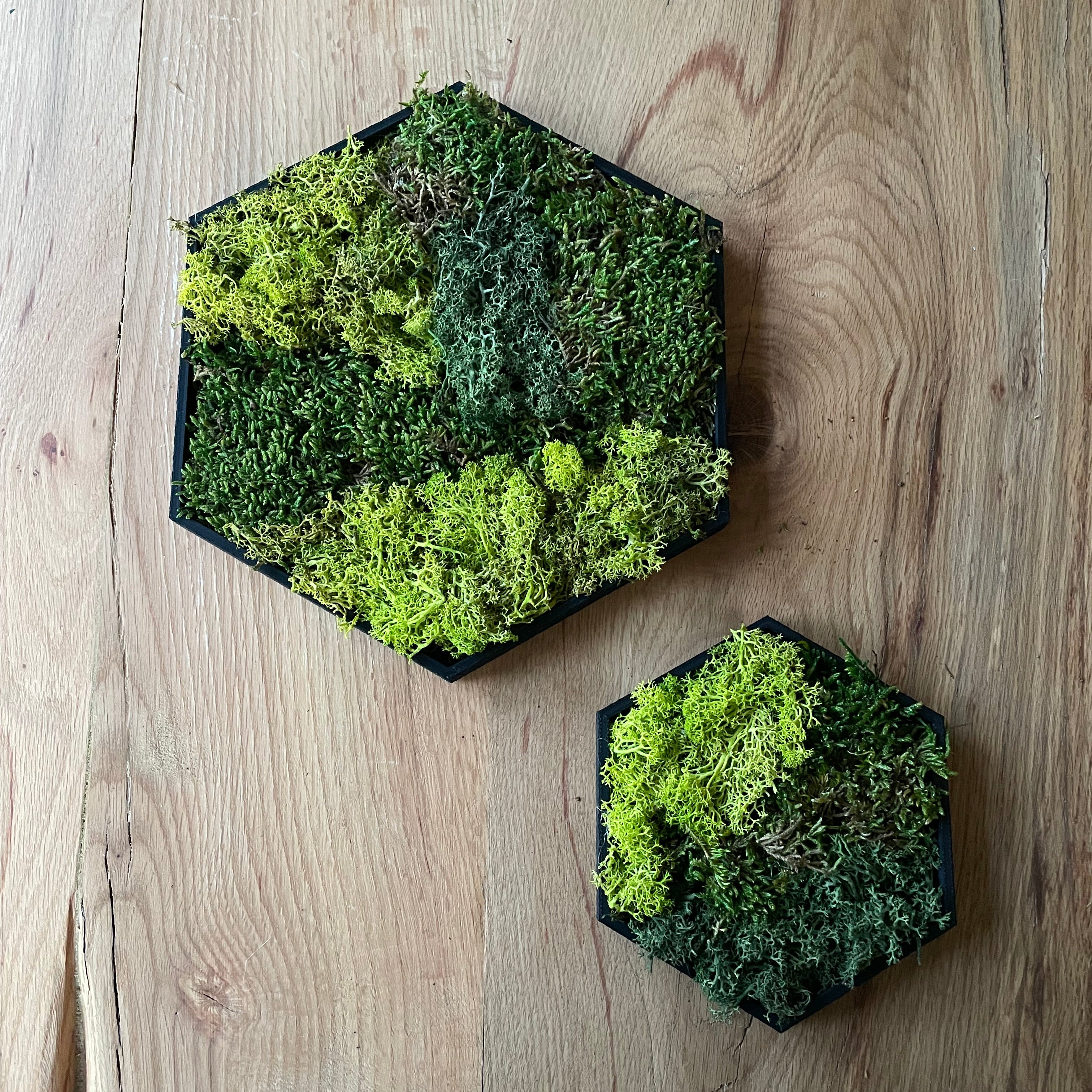 Hexamos - Modulaire Mos Wandtegels