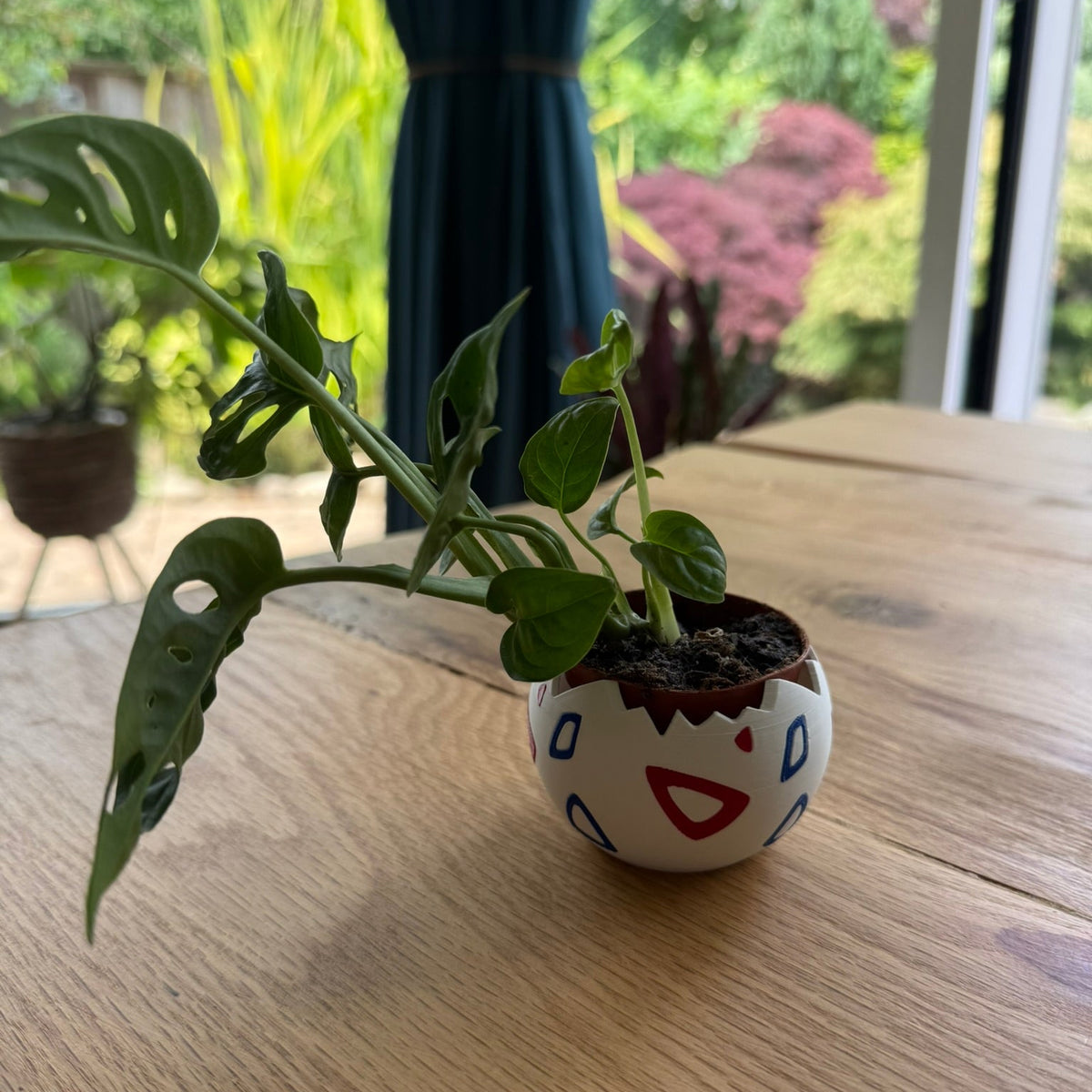 Plant pot 'Egg Buddy'