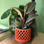 Plantenpot 'Caldo'