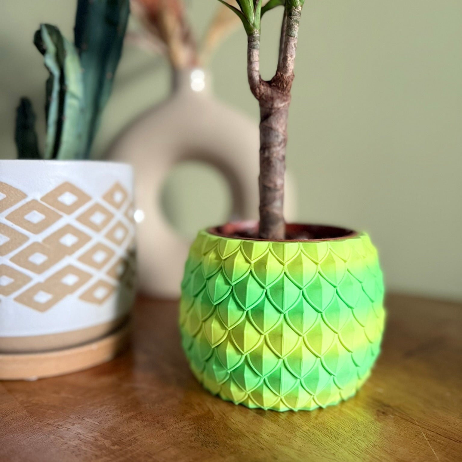 Plantenpot 'Dragon Scale'