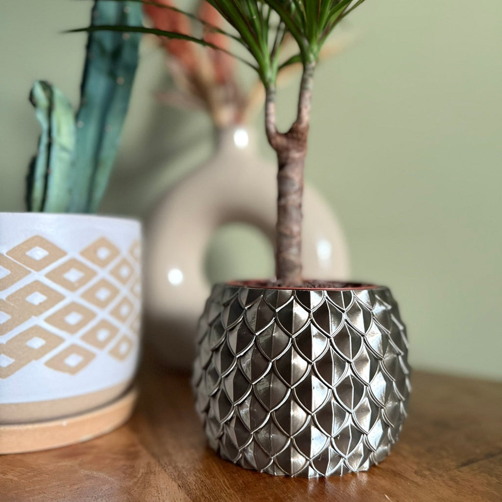 Plantenpot 'Dragon Scale'