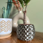 Plantenpot 'Dragon Scale'