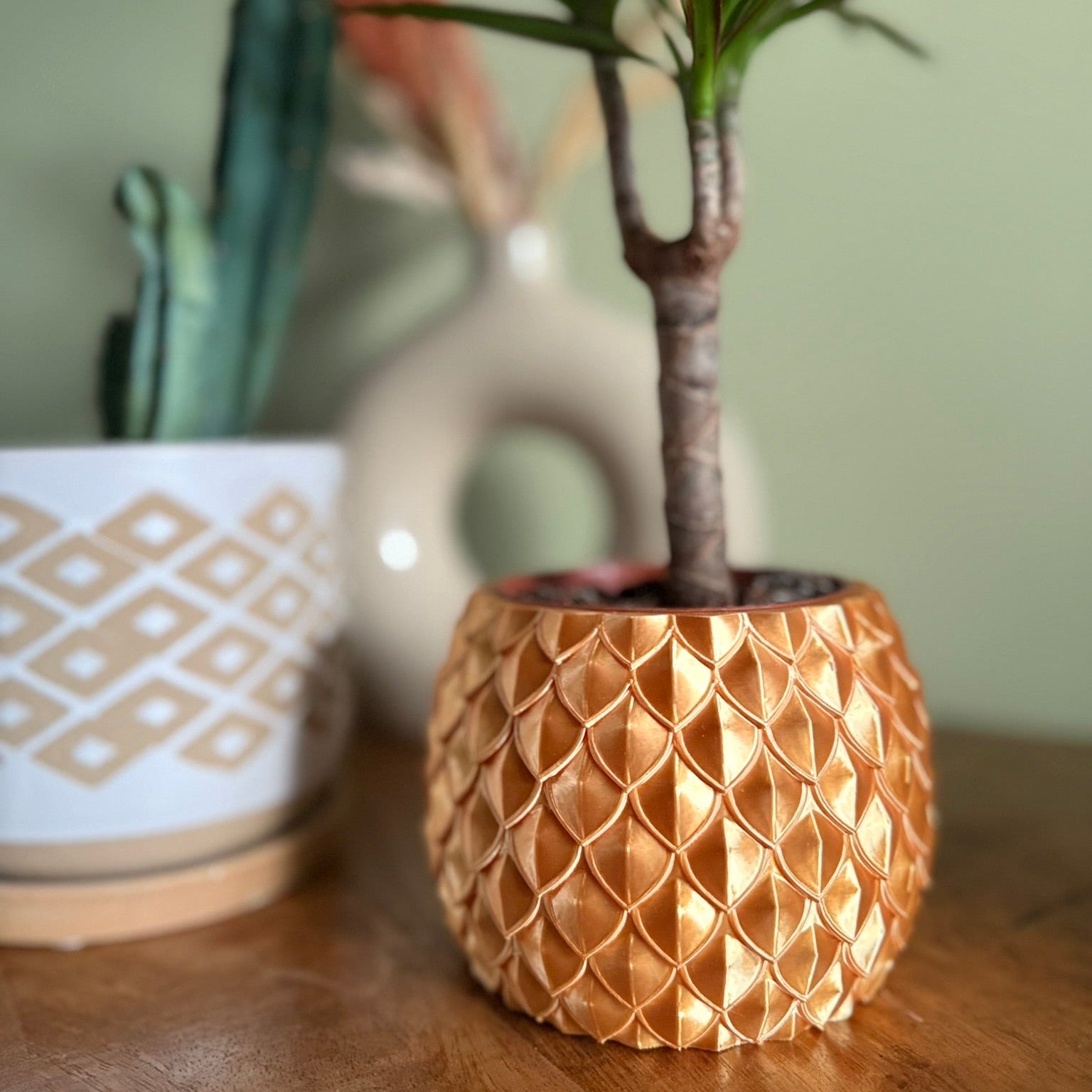 Plantenpot 'Dragon Scale'