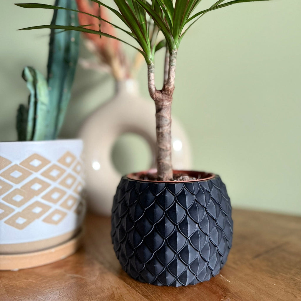 Plantenpot 'Dragon Scale'