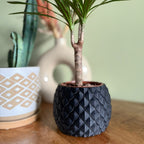 Plantenpot 'Dragon Scale'