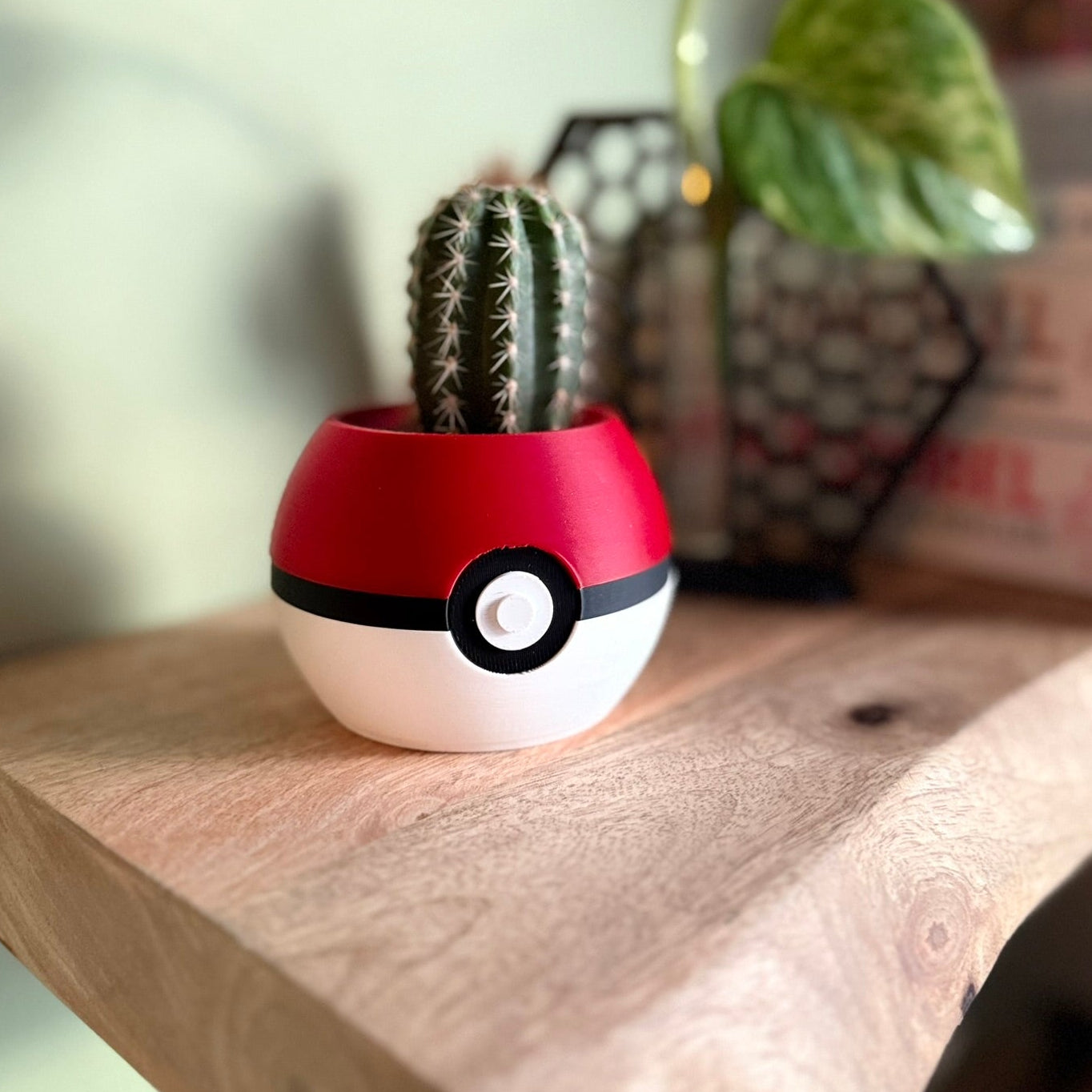 Plantenpot 'Pokepot'