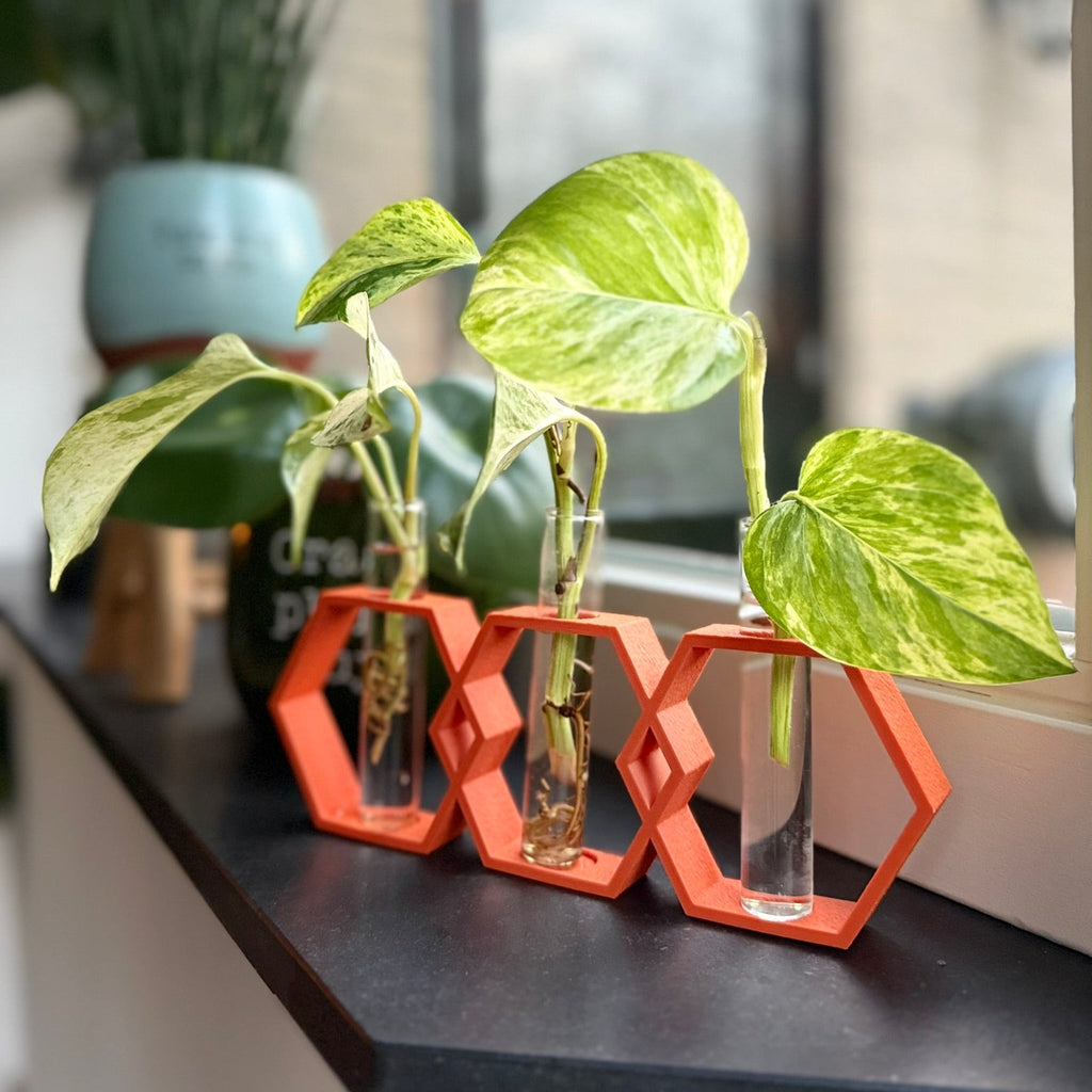 Stekvaas 'HoneyRoot'