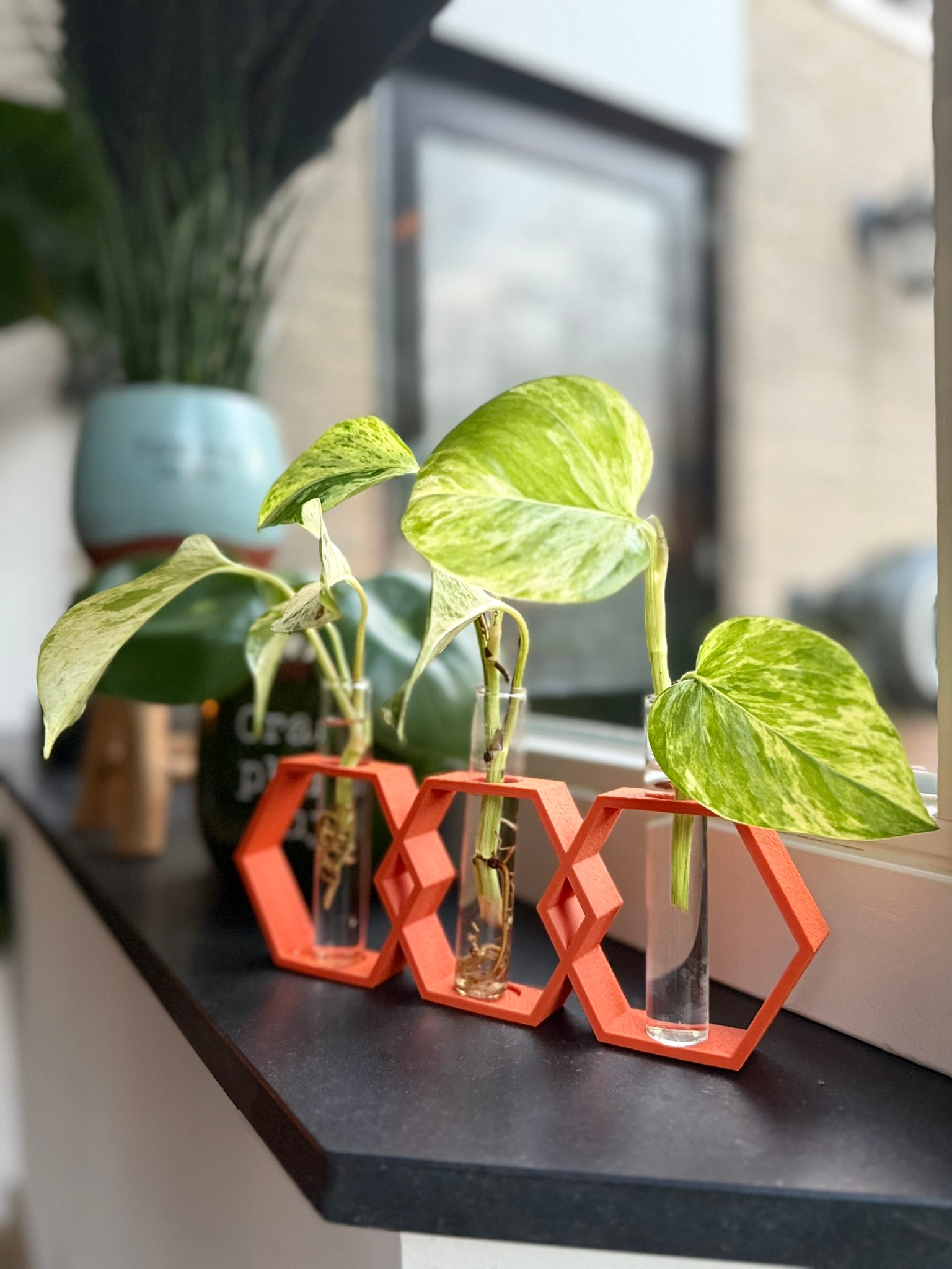 Stekvaas 'HoneyRoot'