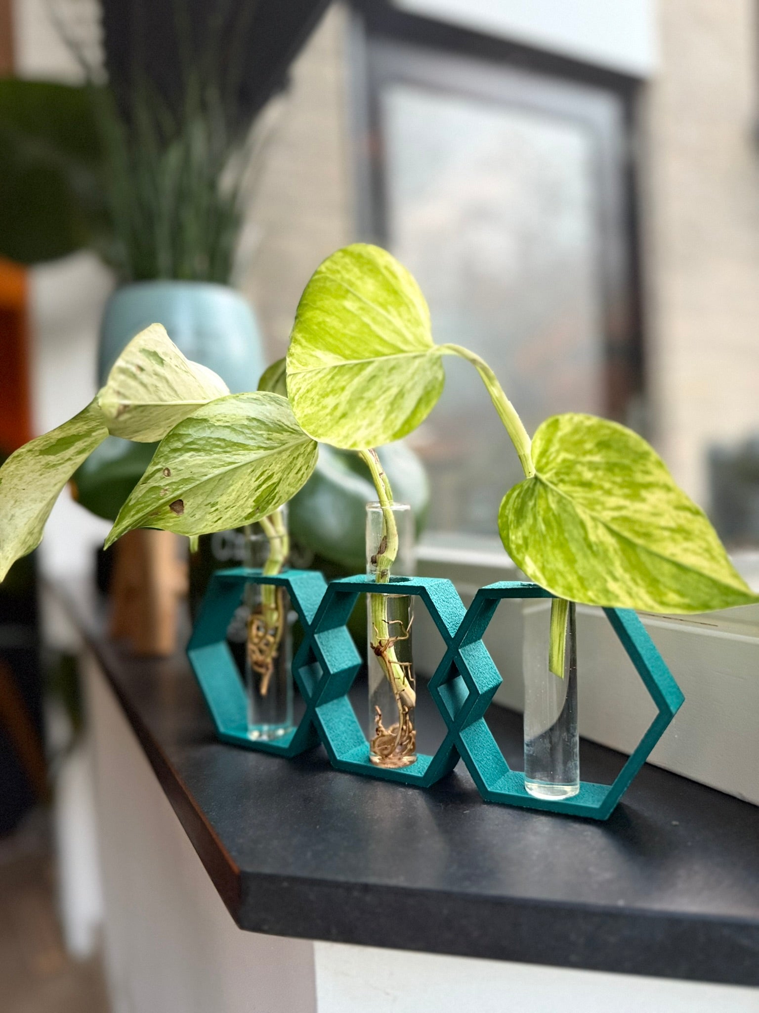 Stekvaas 'HoneyRoot'