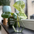 Stekvaas 'HoneyRoot'