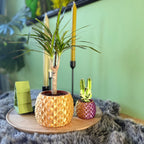 Plantenpot 'Dragon Scale'