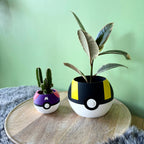 Plantenpot 'Pokepot'