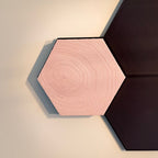 HexaArt - Modulair Magnetisch Wand Systeem