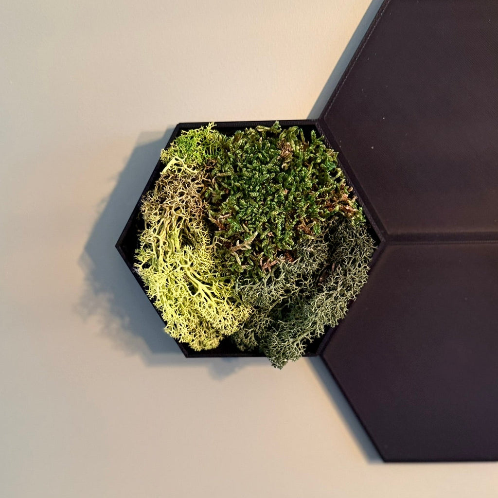 HexaArt - Modulair Magnetisch Wand Systeem