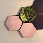 HexaArt - Modulair Magnetisch Wand Systeem