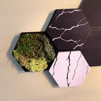 HexaArt - Modulair Magnetisch Wand Systeem