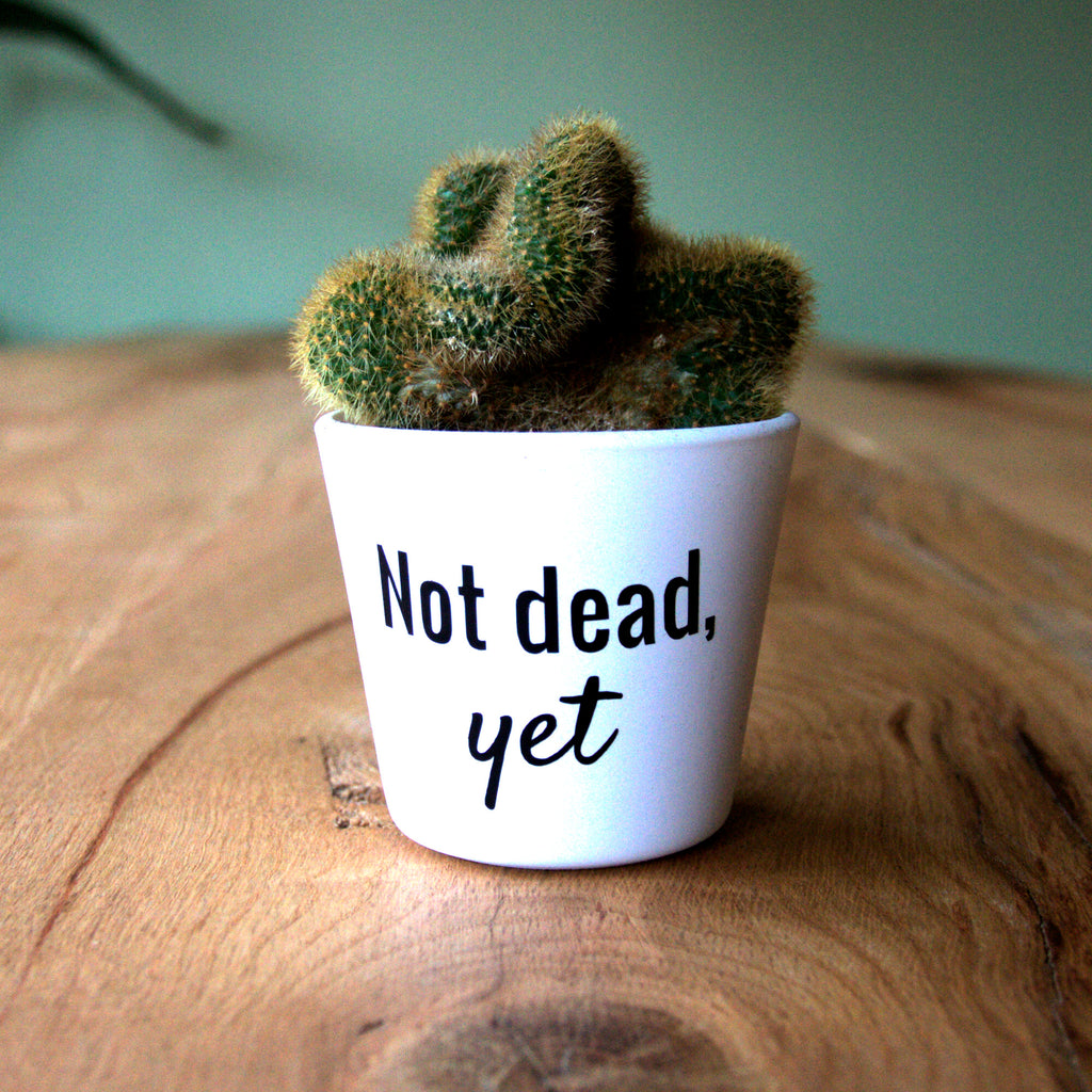 Pot sticker 'Not dead, yet'