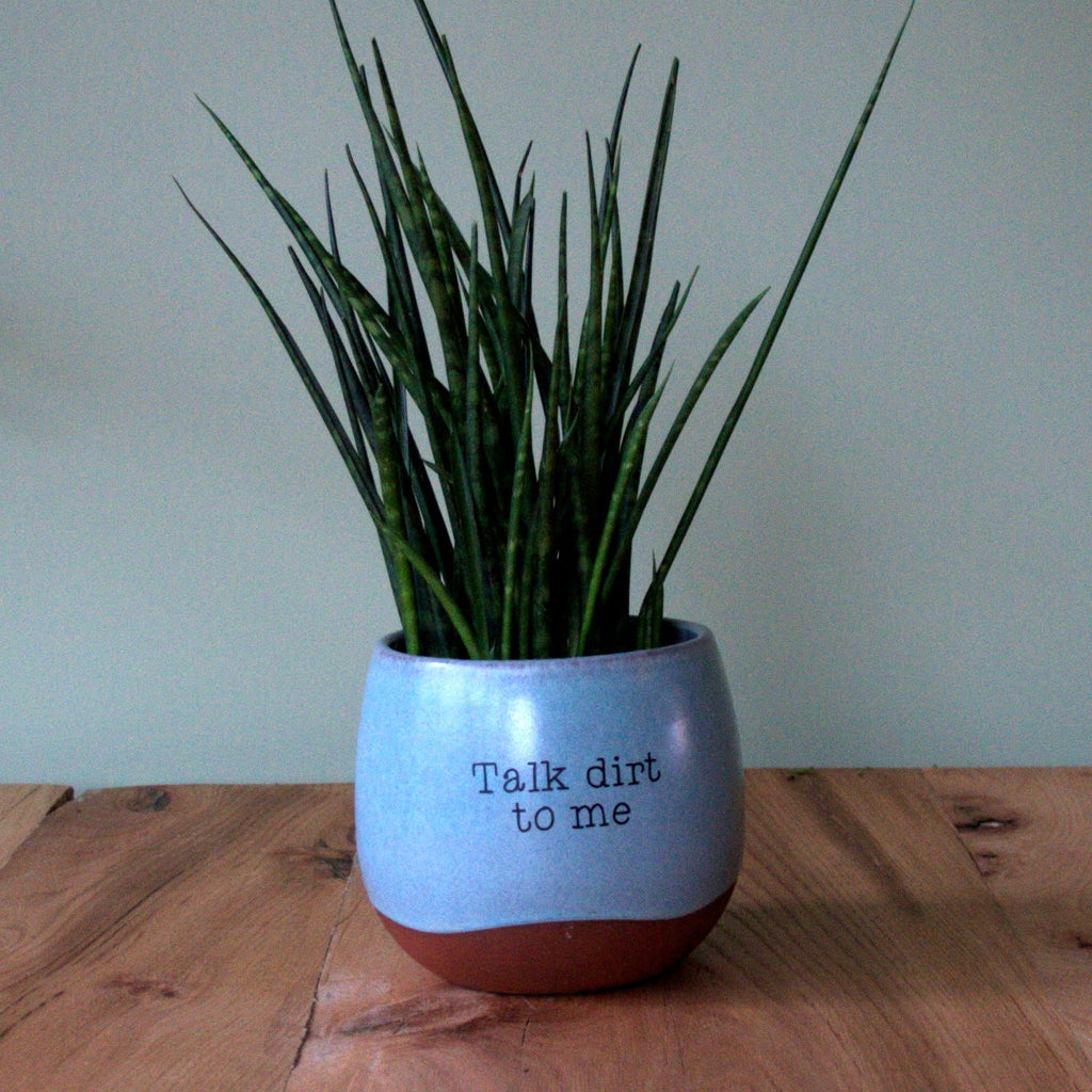 Pot sticker 'Talk Dirt To Me'