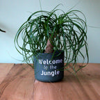 Pot sticker 'Welcome to the jungle'