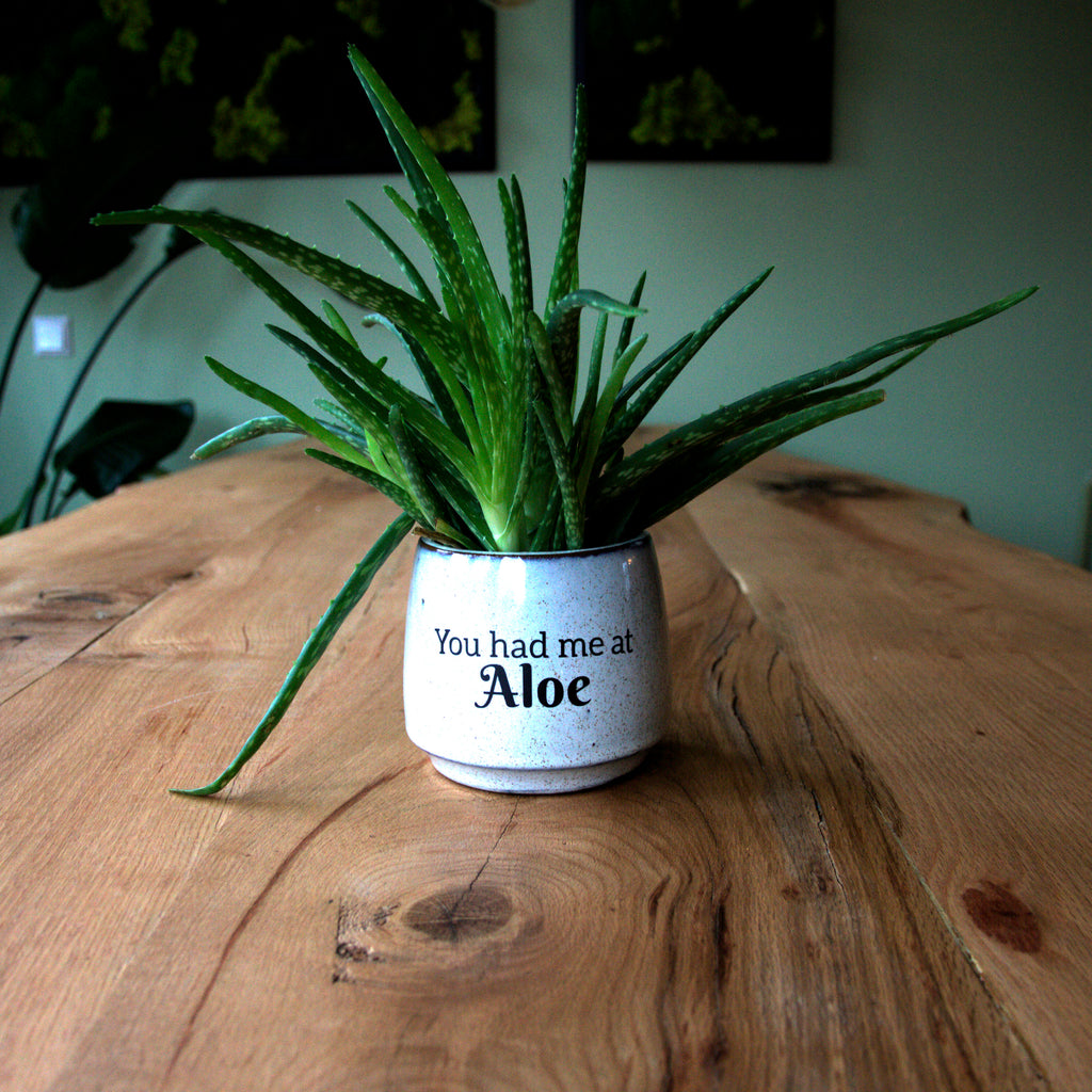 Pot sticker 'You had me at ALOE'