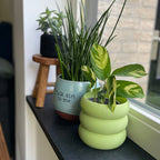 Plantenpot 'Bollie'
